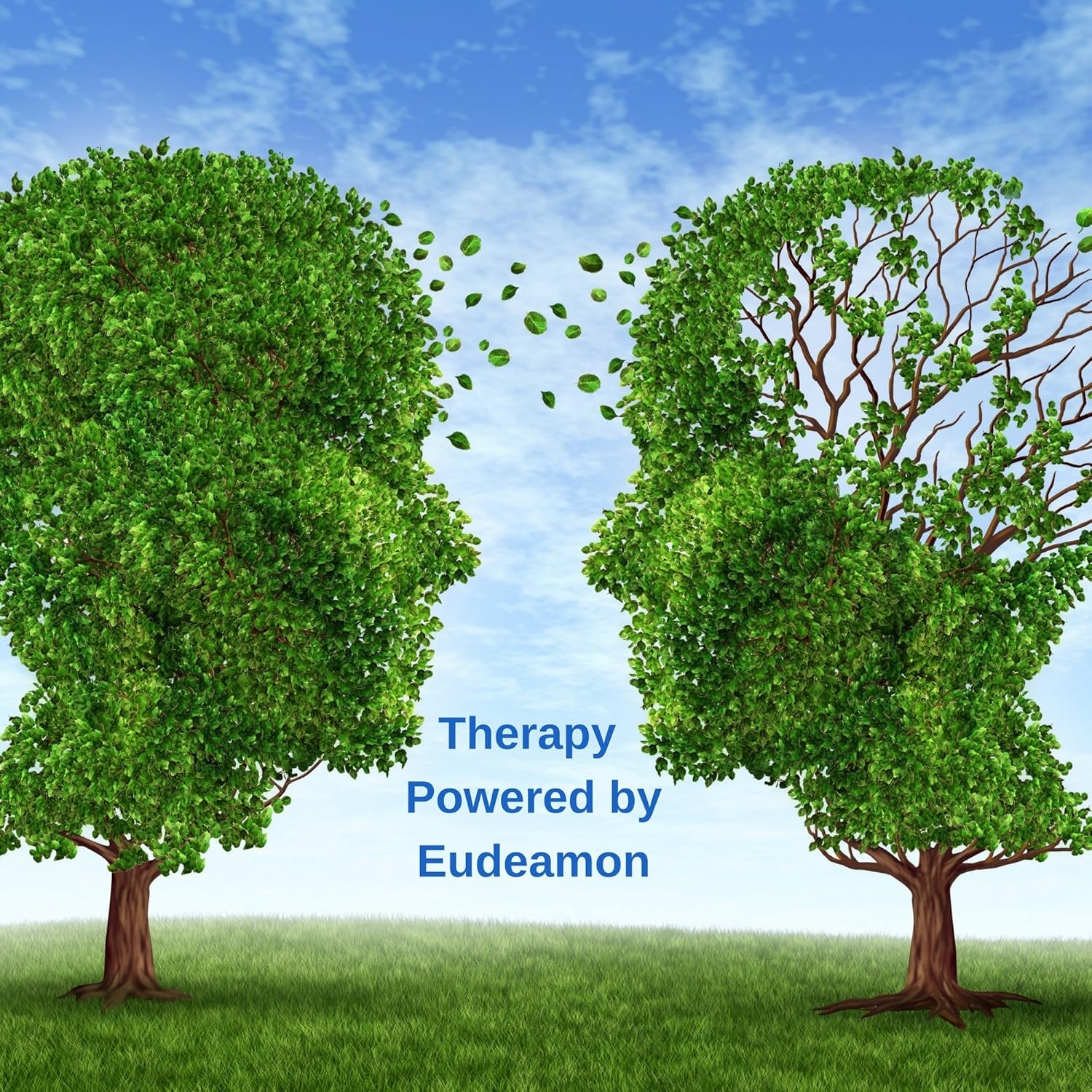 Eudeamon Anticraving Assist | High Strength NAD | Designed to Control and Eliminate Cravings | anti Addiction | 60 Capsules | Suitable for Vegetarians