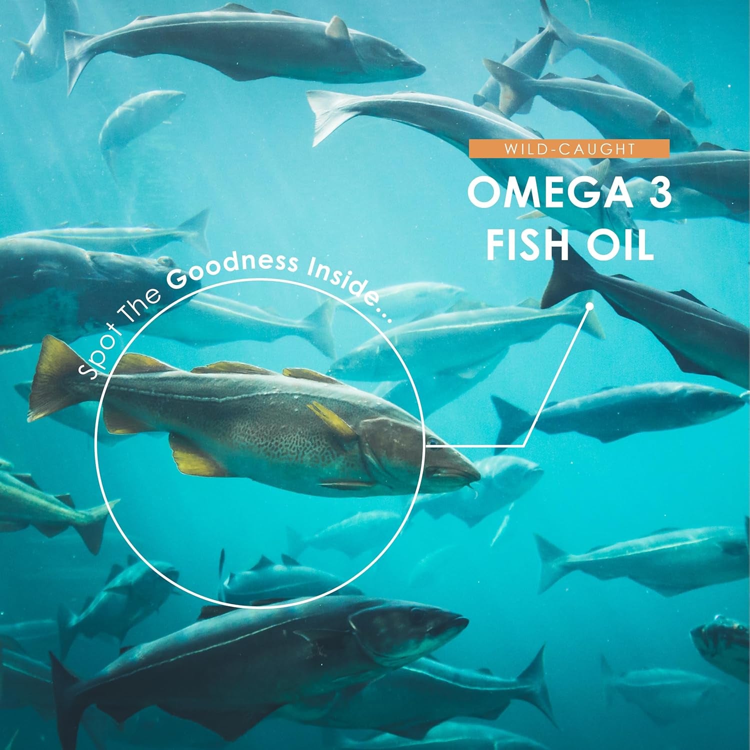 Omega 3-6-9 Fish Oil 3600Mg - 120 Softgels - Wild-Caught Fish Oil with Flaxseed Oil & Borage Oil - Rich in ALA EPA GLA & DHA – No Additives (60 Day Supply) by Alpha01