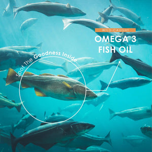 Omega 3-6-9 Fish Oil 3600Mg - 120 Softgels - Wild-Caught Fish Oil with Flaxseed Oil & Borage Oil - Rich in ALA EPA GLA & DHA – No Additives (60 Day Supply) by Alpha01