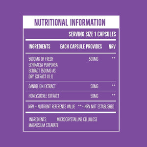 Echinacea Capsules High Strength - 5000Mg Echinacea with Dandelion & Honeysuckle - Food Supplement - Vegan - One a Day - 90 Capsules per Pack (1 Single Pack)