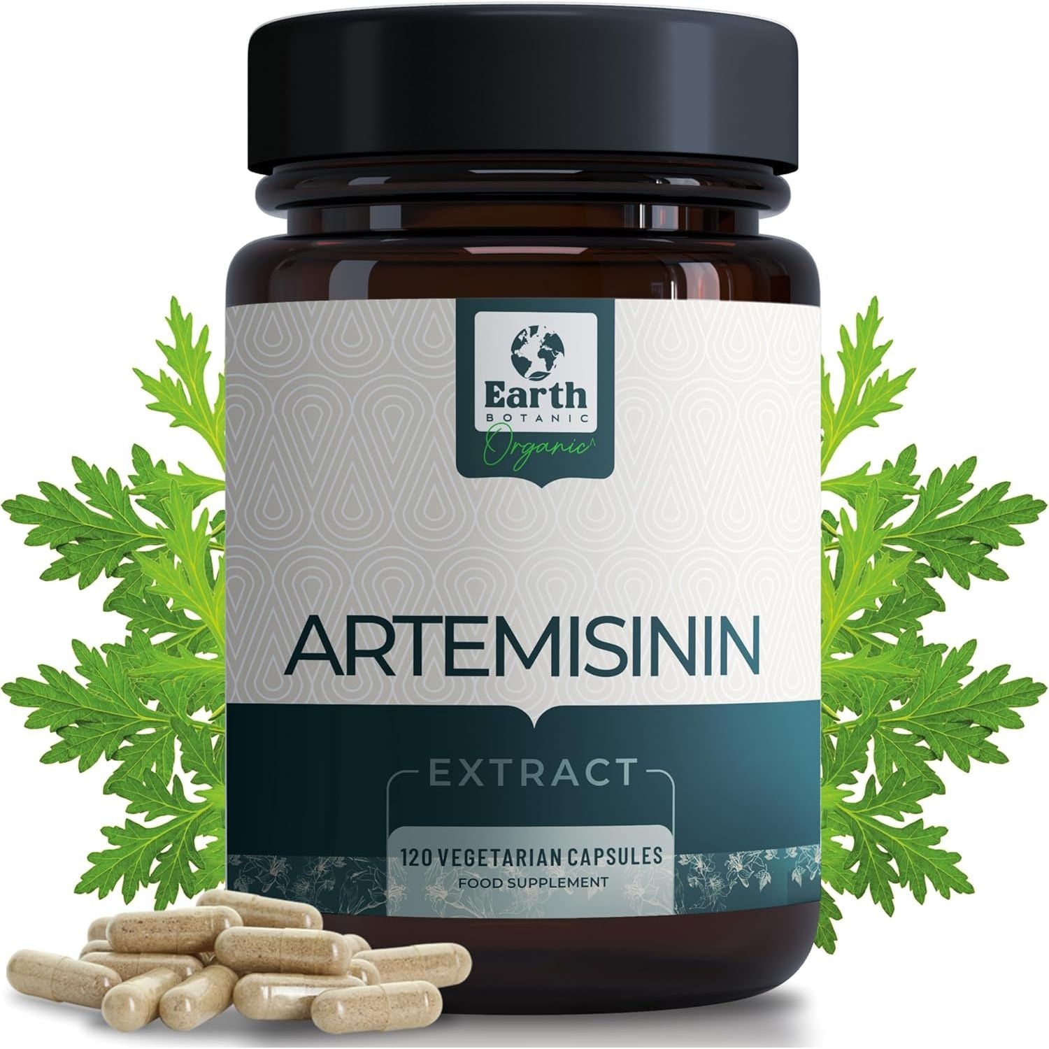 Earth Botanic Organic Artemisinin (Artemisia Absinthium) with Piperine - 120 Vegan Capsules Supports Immunity -60 Days Supply - Non-Gmo, Gluten Free, No Additives