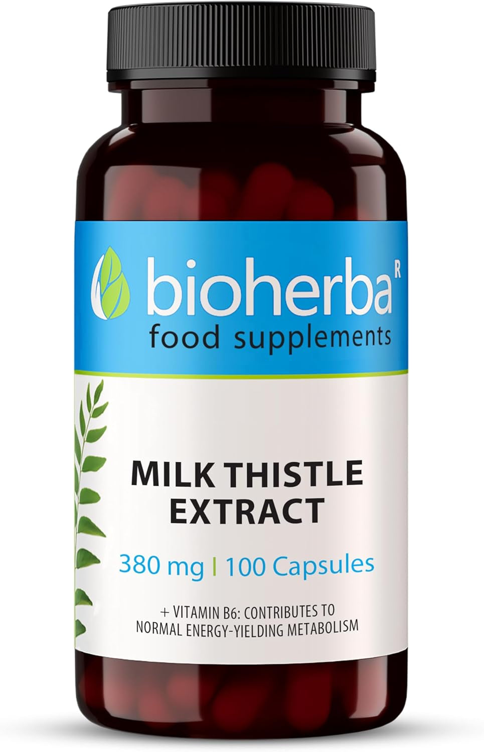 Milk Thistle 380 Mg – 100 Capsules | Herbal Supplement with Silymarin and Vitamin B6 for Antioxidant and Metabolic Support by BIOHERBA