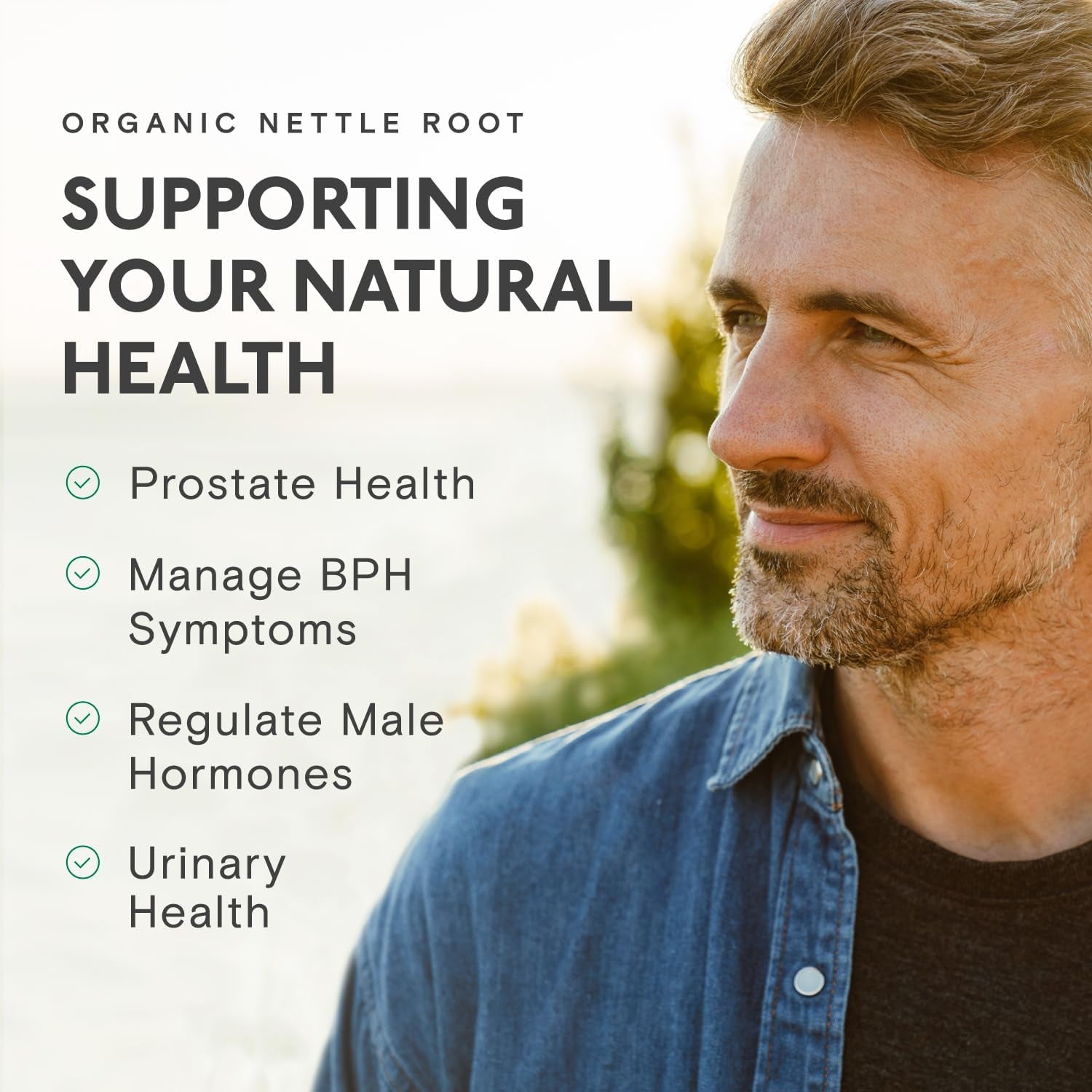 Organic Stinging Nettle Root Extract 2000Mg | High Strength 4:1 Extract Stinging Nettle Supplement | 60 Vegan Capsules | Made in the UK | Sustainably Packaged & Produced