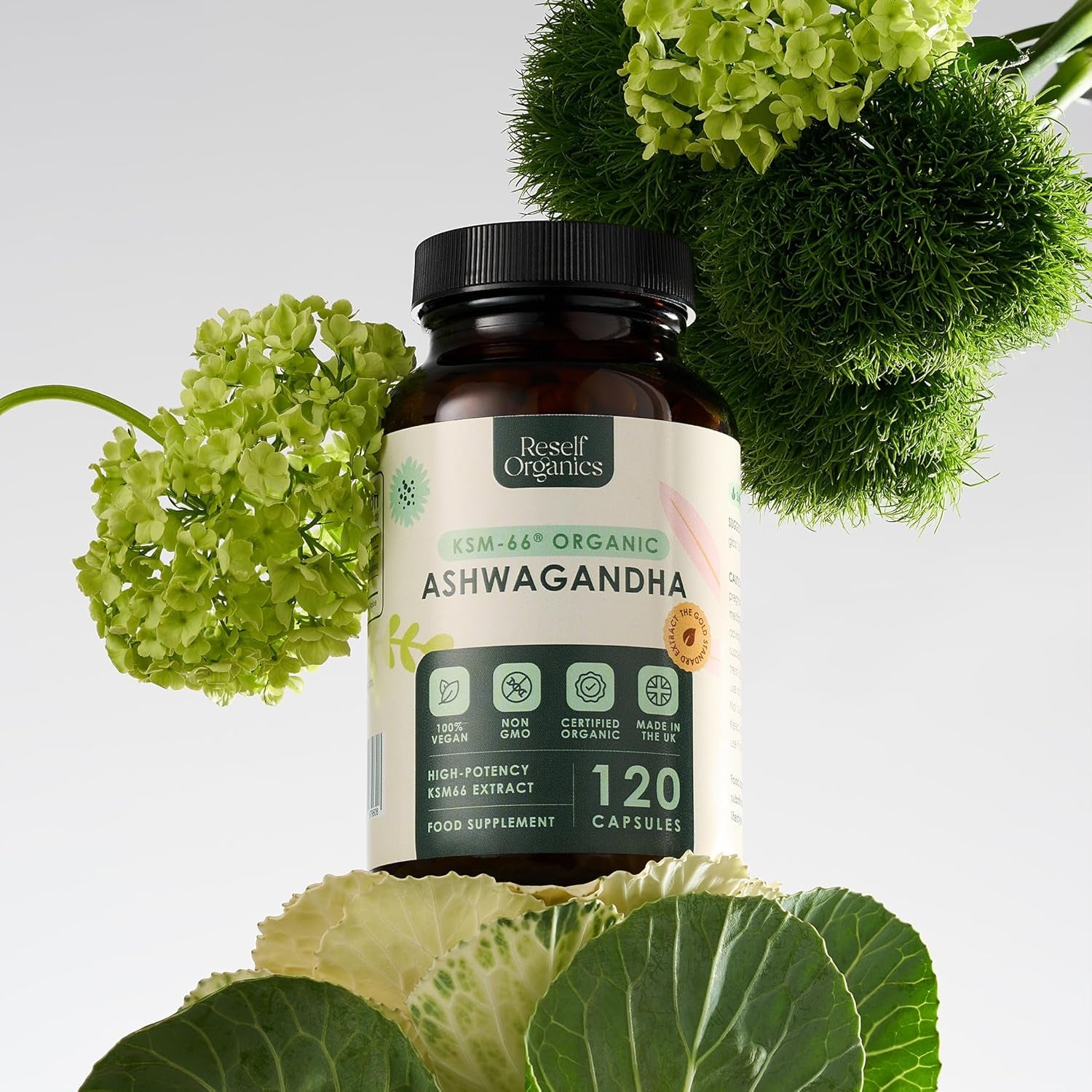 Organic Ashwagandha KSM-66® Extract - 30 Capsules 550Mg 1 Month Supply - High Strength Supplement for Performance Energy Boost Muscle Recovery Immune Support - Made in England by Reself Organics