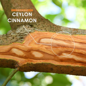 Organic Ceylon Cinnamon 1400Mg – Potent 100% Sri Lanka Cinnamon Verum – 90 Vegan Capsules – Resealable and Recyclable Pouch by Alpha01