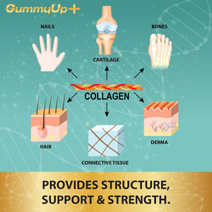 Hydrolysed Collagen Gummies with Biotin + Oral Hyaluronic Acid | Highly Absorbable with Vitamin C+E | 60 Sugar Free Natural Pineapple Flavoured Gummies