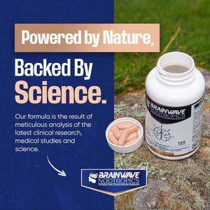 Brainwave Nootropics® | High Strength Nootropic & Adaptogen Brain Function & Immune System Support Complex | Ashwagandha 1000Mg - Lion'S Mane 1000Mg - L-Theanine 300Mg - Vitamins D3, B5, B12, Zinc