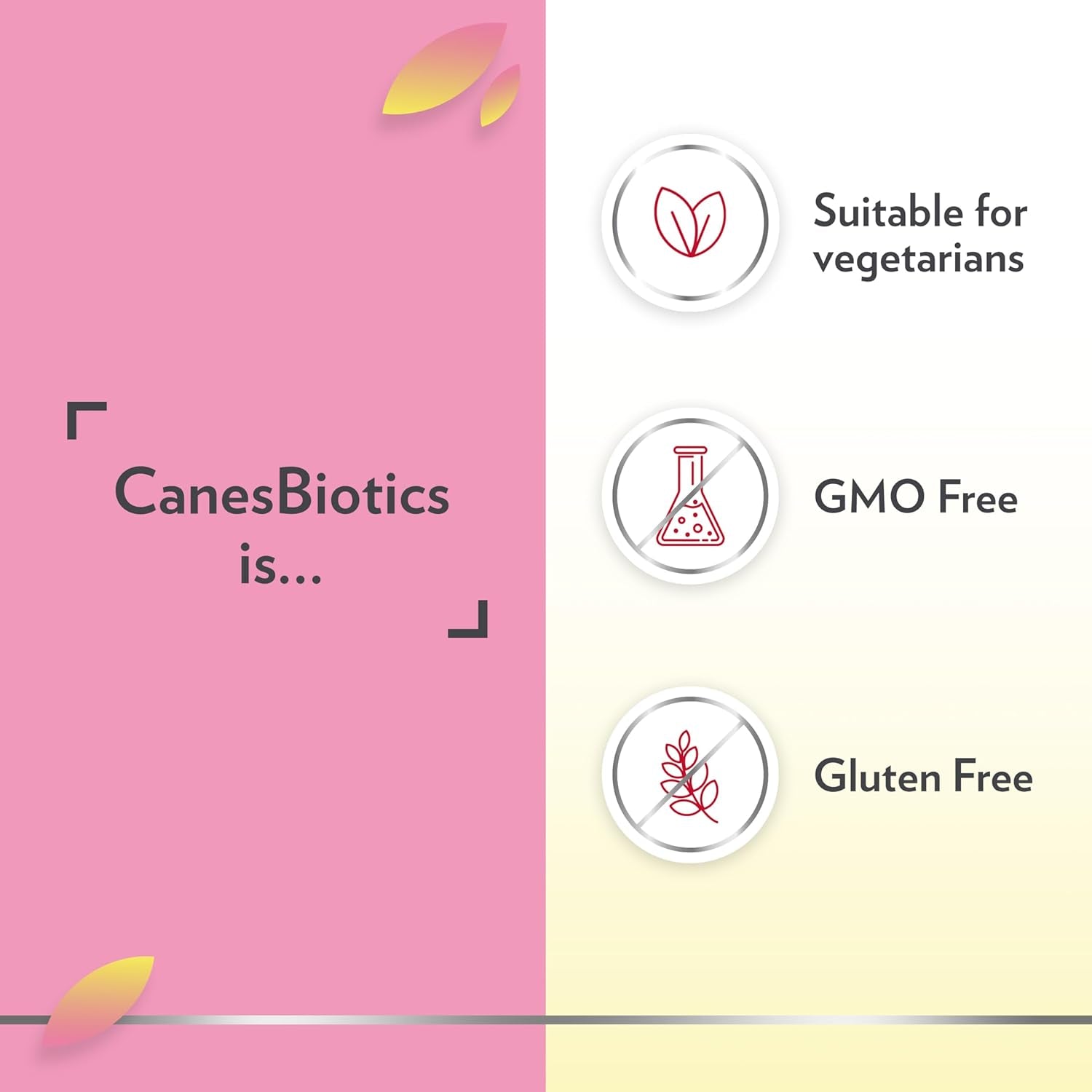 Canesten Canesbiotics, Oral Capsules with Live Friendly Bacteria Naturally Present in the Vaginal Flora, 4 Billion Live Cultures, Vitamin B2, Food Supplement, 30 Capsules