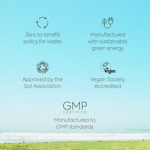 Lifeplan Super Herbs Curcumin 500Mg (60 Capsules) — with Vitamin C and Manganese and Piperine — 60-Day Supply