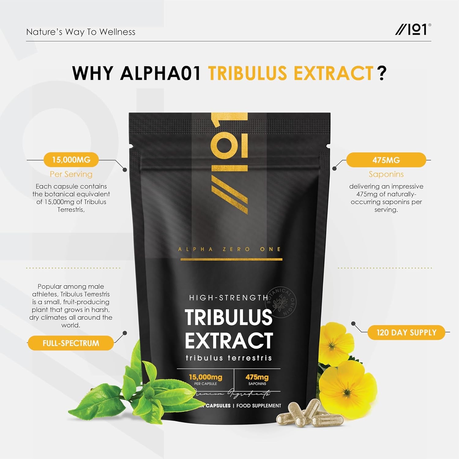 Tribulus Terrestris Extract 15,000Mg – Super Strength 95% Saponins (474Mg per Capsule) – 120 Vegan Capsules (4 Months Supply) Resealable and Recyclable Pouch – by Alpha01