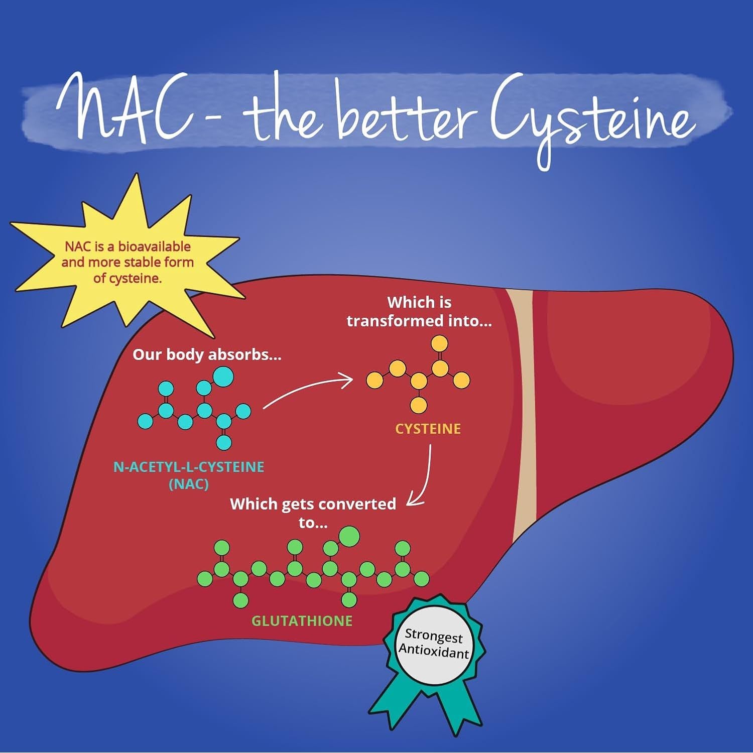 Vegavero NAC Supplement | 100% Pure N-Acetyl-Cysteine 600 Mg | Lab Tested, NO Additives | 180 Capsules | Vegan