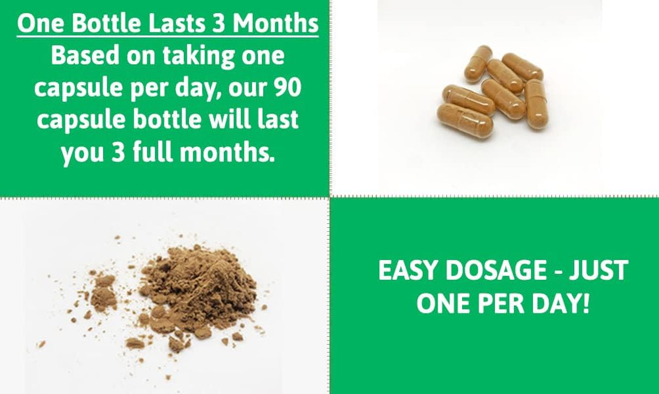 High-Strength Dandelion Extract Capsules (10:1) 5,000Mg per Capsule - 90 per Bottle, Vegan Safe, UK Manufactured