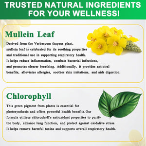 Mullein Drops for Lungs 60ML Mullein Leaf Extract & Chlorophyll Drops for Lung Cleanse Vegan & Health Supplements Fast Absorption