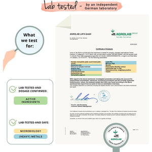 Vegavero L-Arginine L-Citrulline Complex High Strength 4200 Mg | Natural Pre-Workout | NO Additives | Citrulline Malate Powder | Amino Acids from Fermentation | 150 Capsules | Vegan