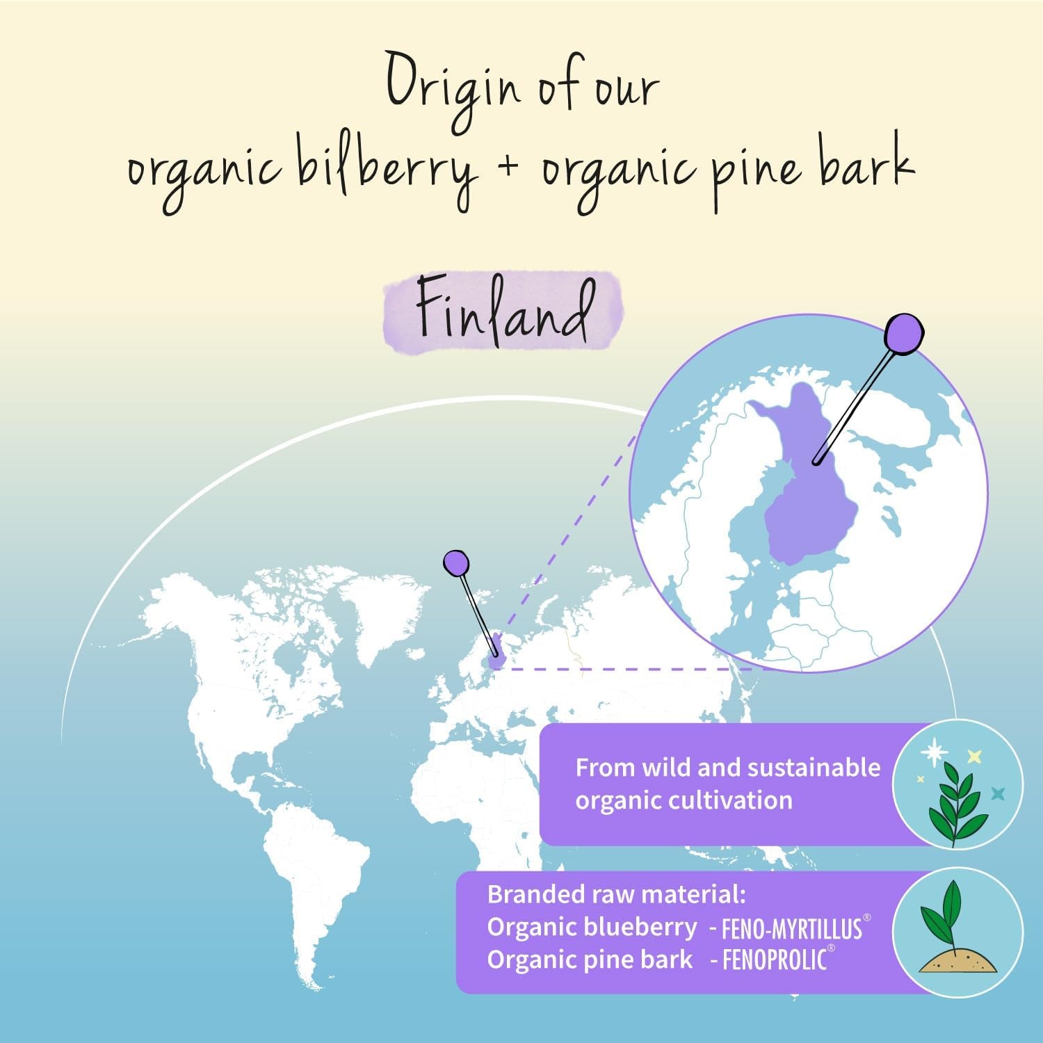 Vegavero Organic Bilberry 12,000 Mg & Pine Bark | from High Strength Extracts | Premium Quality from Finland | NO Additives | 90 Capsules | Vegan