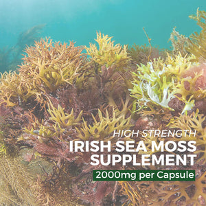 Nutripact Sea Moss Capsules, Bladderwrack and Burdock Root - 3280Mg per Serving - One a Day High Strength - Easy to Swallow - Natural Source of Iodine - Chondrus Crispus - 60 Vegan Capsules