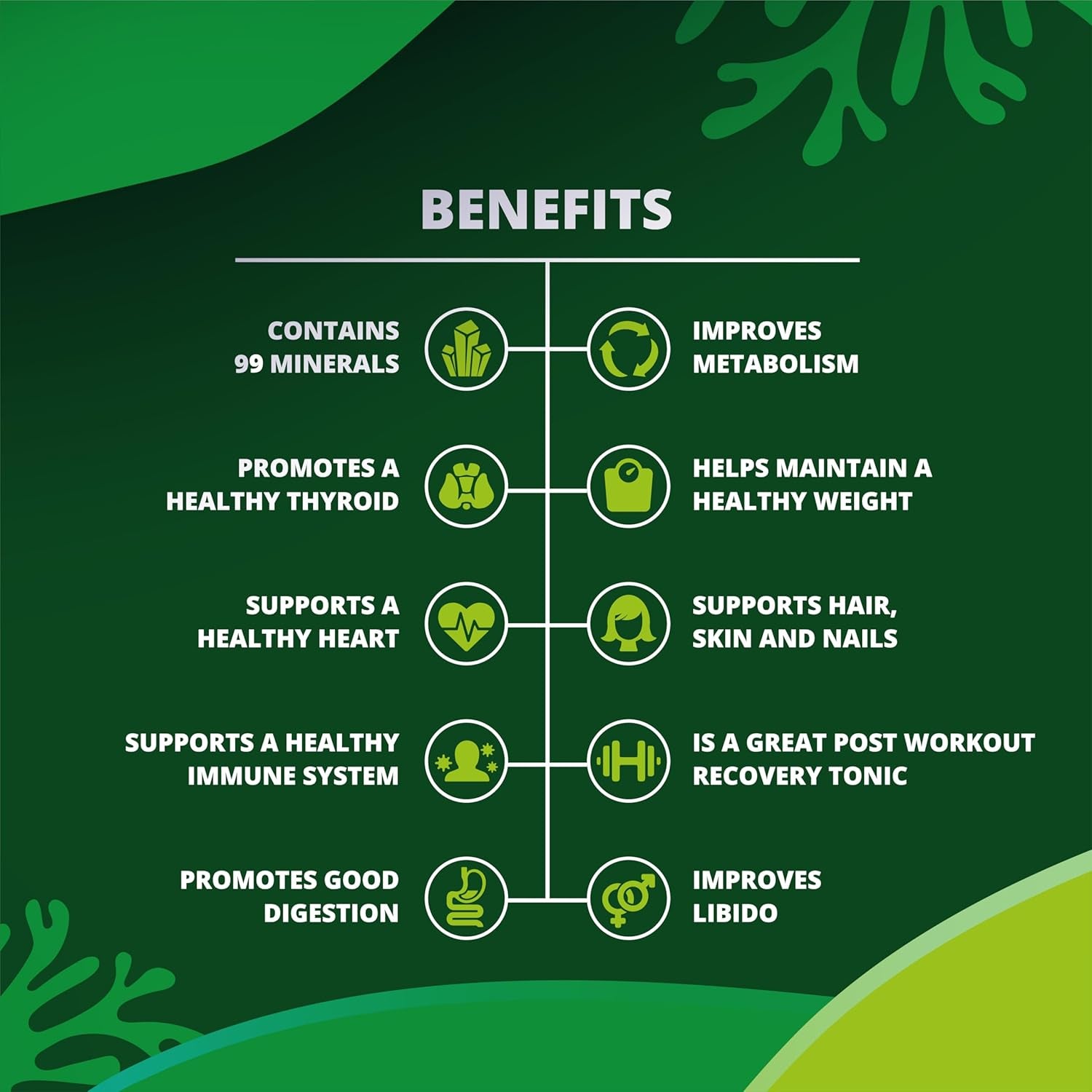 Shilajit Sea Moss Lions Mane Ashwagandha Turmeric Ginger Black Pepper Vitamins D3 & C Zinc Magnesium - 60 Vegan Capsules - 2320Mg per Serving