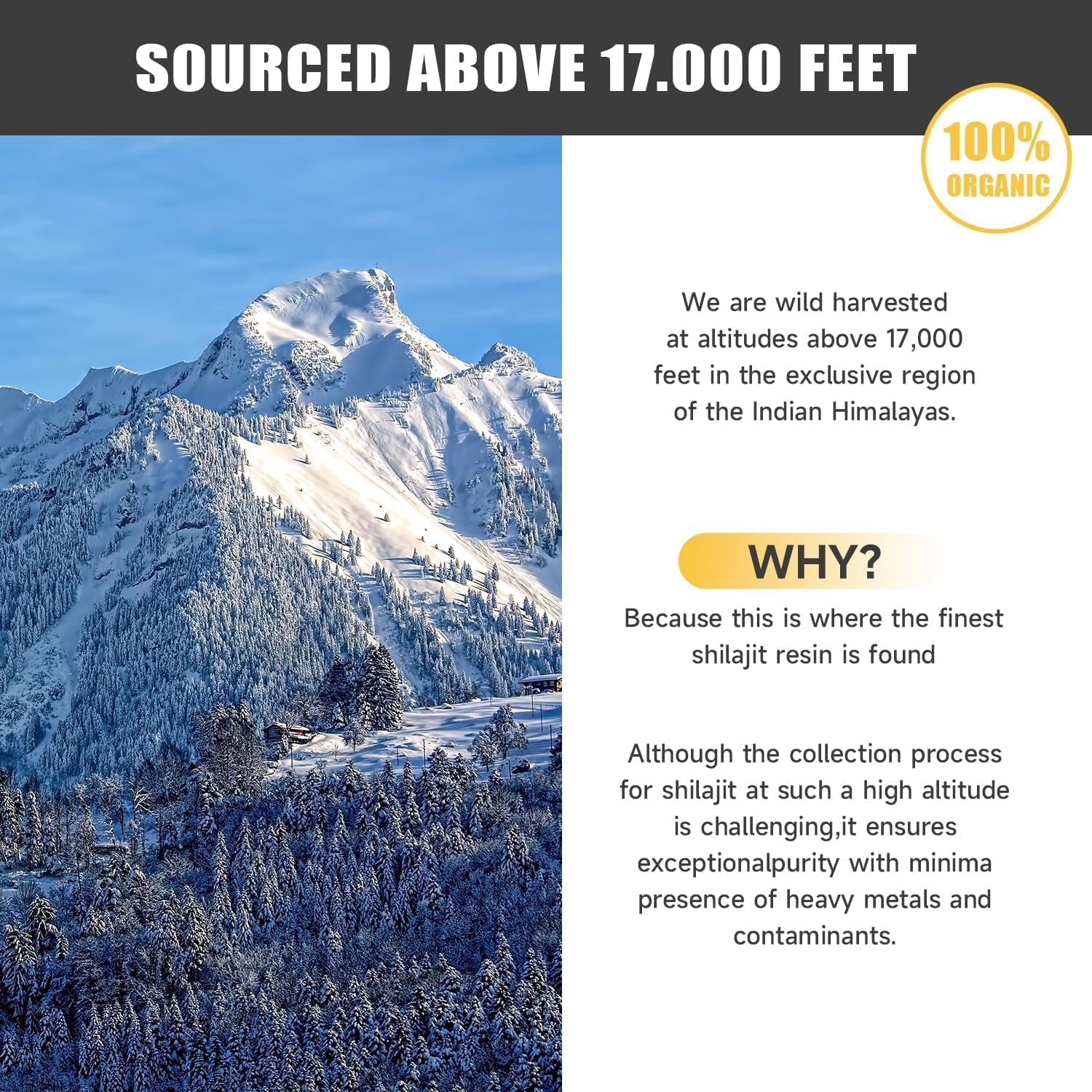 Pure Shilajit Himalayan Resin, Gold Seal Pure Shilajit Enriched with Acid Fulvic, Essential Minerals and 85+ Trace Elements to Boost Energy and Immunity, 50G in a Box of 2.