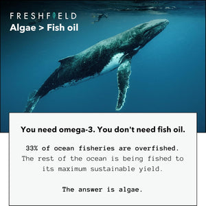 Freshfield Vegan Omega 3 DHA & DPA Supplement: Premium Algae Oil, 2 Month Supply, Plant Based, Sustainable, Premium and Mercury Free. Supports Heart, Brain, Joint Health