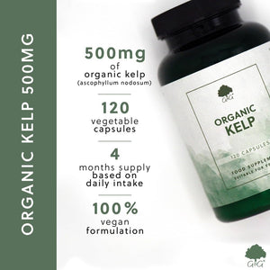 Organic Kelp Supplement 500Mg - Natural Source of Iodine - 120 Vegan Capsules - Non GMO, Made in the UK by G&G Vitamins
