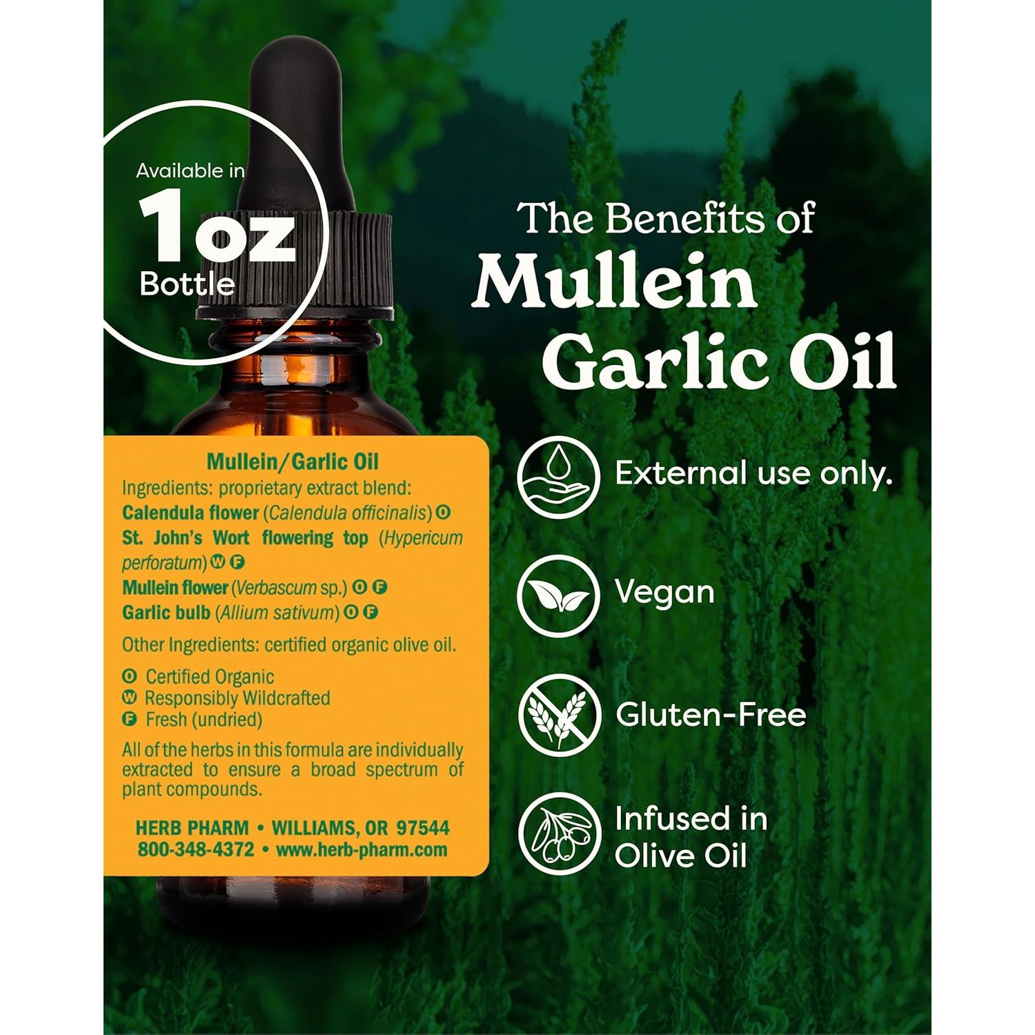 Herb Pharm Mullein Garlic Herbal Oil - Contains Calendula, Garlic, Mullein Flower, St. John'S Wort, Olive Oil, 1 Ounce