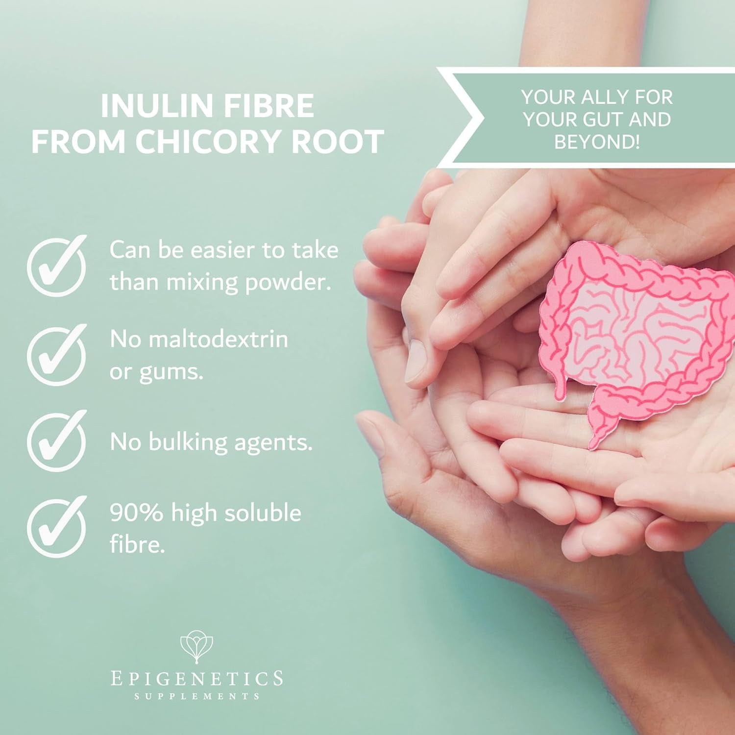 Inulin Fibre Supplement from Chicory Root | 120 Capsules | Prebiotic Gut Health Supplements | Increase Fibre Intake & Support Digestion | Vegan Friendly UK Made | 1 Capsule Daily 4 Months Supply