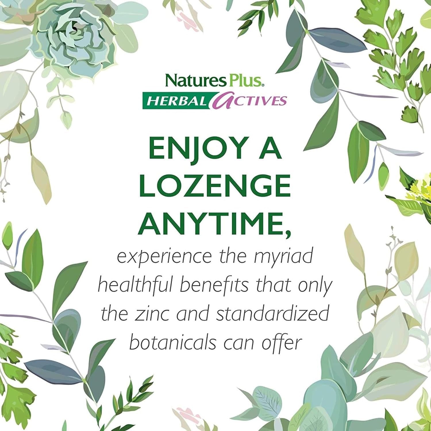 Naturesplus Herbal Actives Immune Zinc Lozenges, Cherry Flavour - Chewable Zinc and Vitamin C Tablets with Olive Leaf, Elderberry and Vitamin D3 - Vegan, Gluten Free - 60 Chewables