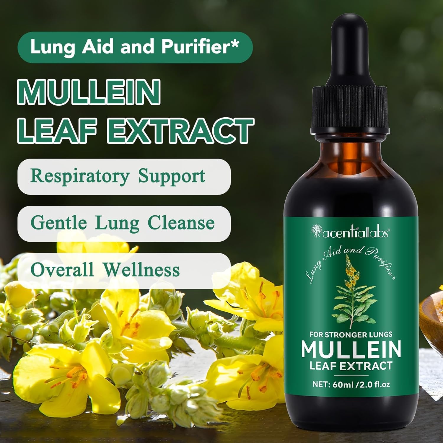 Mullein Leaf Extract for Lungs, Mullein Drops, Powerful Mullein Leaf Liquid Drops, Vegan Mullein Leaf Sublingual Fast Absorption - 60Ml*2-4 Month Supply