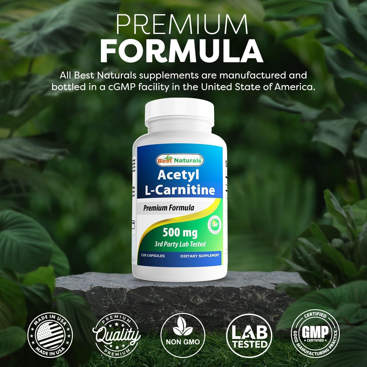 Best Naturals Acetyl L-Carnitine 500 Mg 120 Capsules