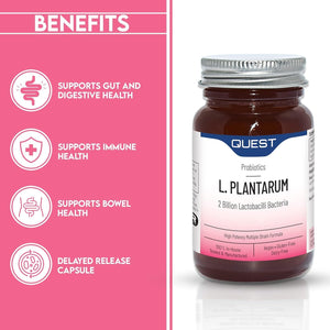 Quest L Plantarum Probiotic Capsules 2 Billion CFU for Immune & Digestive Support. Helps Restore Gut Friendly Bacteria & Regulate Immune Responses. Vegan & Gluten Free (90 Capsules)