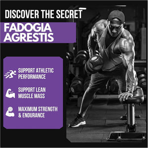 Fadogia Agrestis 2000Mg 90 Vegan Tablets High Strength Fadogia Agrestis Extract Supplements - Athletic Performance & Muscle - Gluten Free Non-Gmo (Not Fadogia Agrestis Capsule) 90