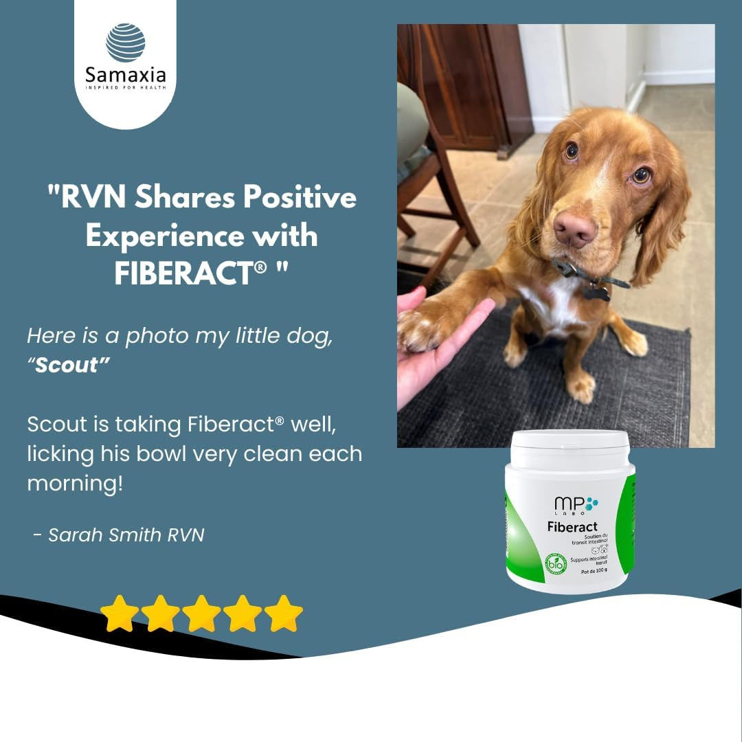 Fiberact for Dogs & Cats – Natural Gut Health & Gland Support – Helps Reduce Hairball Build-Up & Maintain Normal Stool Consistency – Supports Scooting Reduction – Blond Psyllium Powder 100G