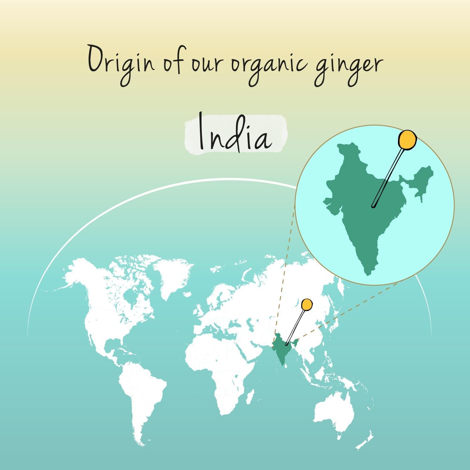 Vegavero Organic Ginger Capsules | 650 Mg Root Powder | NO Additives | Lab-Tested | 120 Units | Vegan