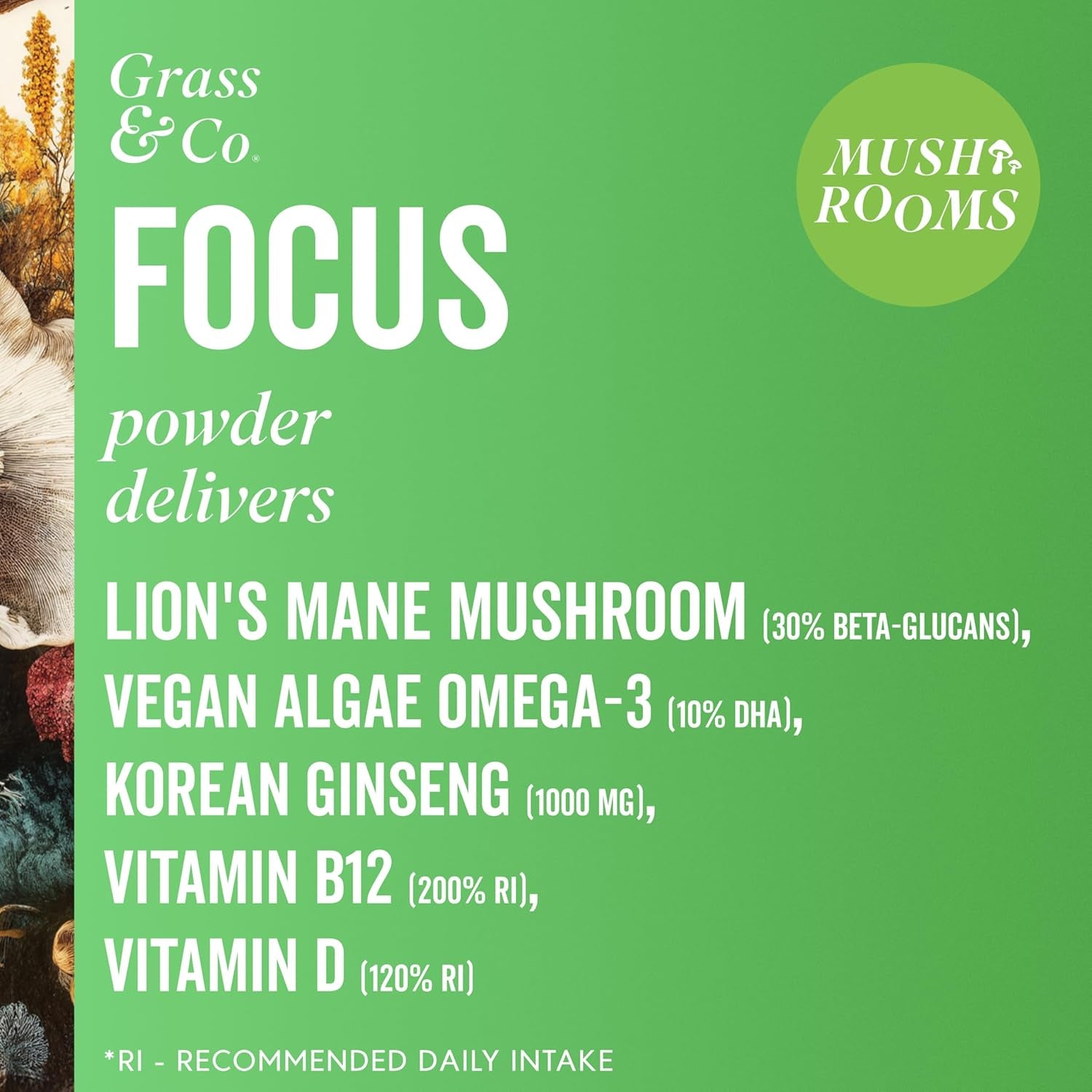 Grass & Co. | Focus Lion’S Mane Nootropic Powder | 2000Mg Lion’S Mane, 1000Mg Ginseng & Vegan Omega-3 | Brain Boost, Memory & Caffeine-Free Alertness | 46 Servings