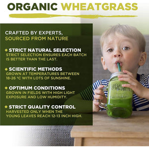 Wheatgrass Capsules | Organic | 1500Mg per Serving | 180 Capsules | High Chlorophyll Content | Mysuperfoods