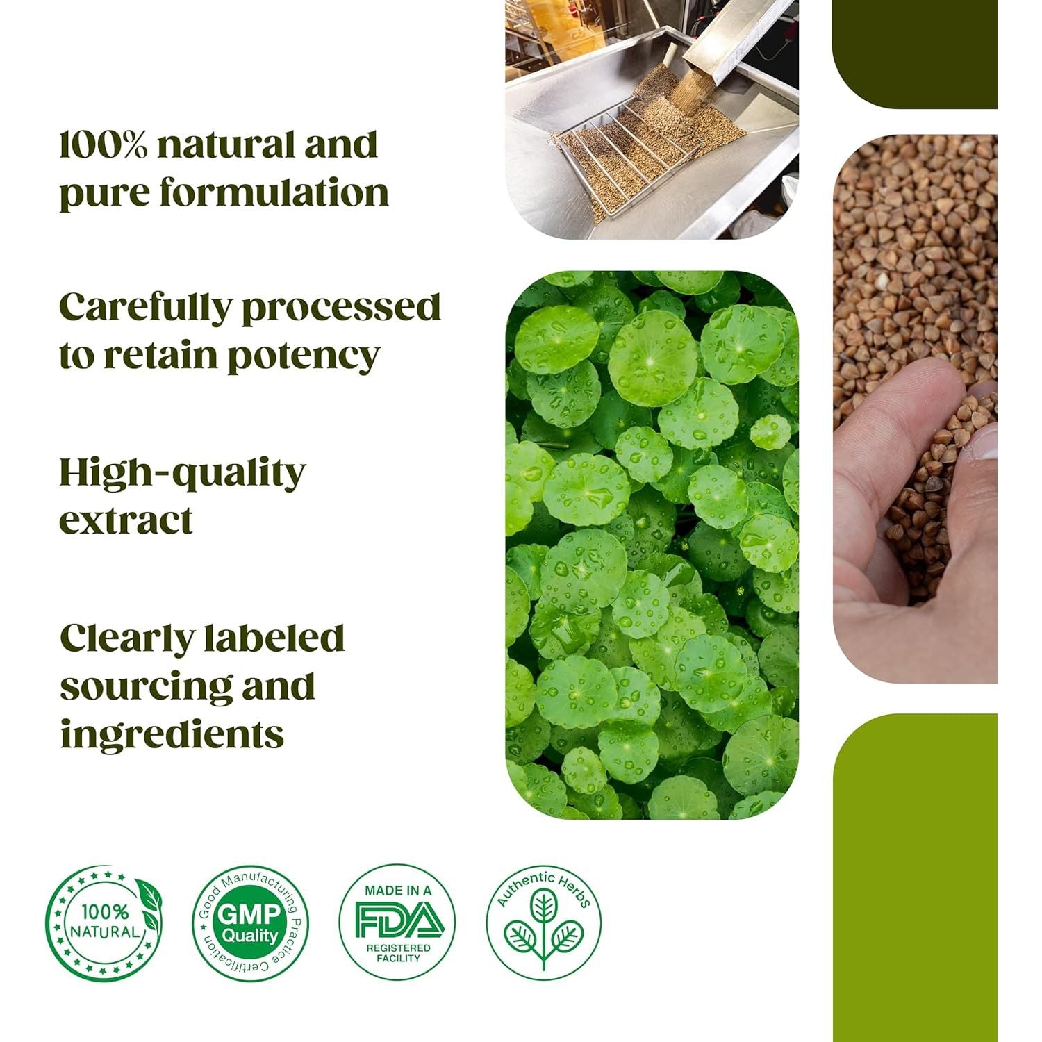 H&C Gotu Kola (Centella Asiatica) Capsules - 900Mg per Serving, 120 Counts | for Memory and Concentration