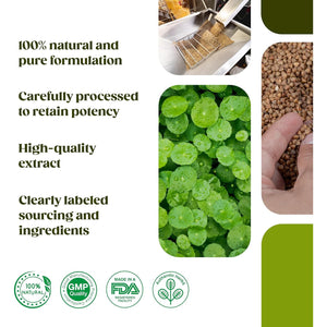 H&C Gotu Kola (Centella Asiatica) Capsules - 900Mg per Serving, 120 Counts | for Memory and Concentration