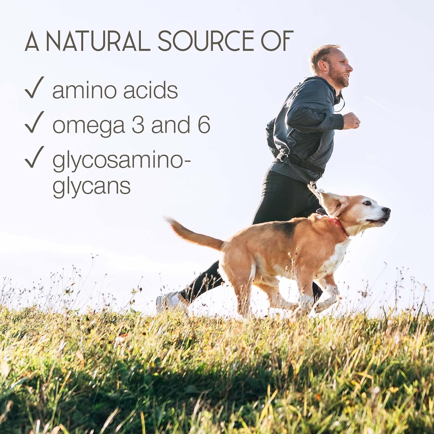 Green Lipped Mussel for Humans & Dogs - New Zealand Green Lipped Mussel Capsules 1000Mg - High Strength Joint & Mobility Supplement with Omega 3-100% Pure Powder - 90 Tablets - Made in the UK