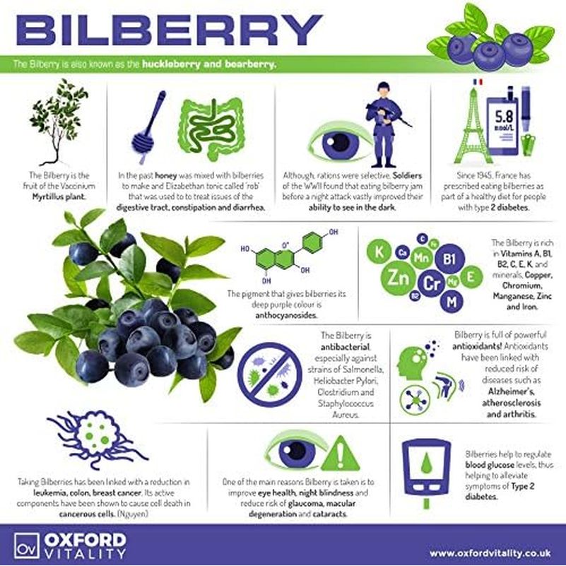 Bilberry Supplements | Extra Strength 4000Mg Tablets for Eye Health & Antioxidant Support | Oxford Vitality ® (120)