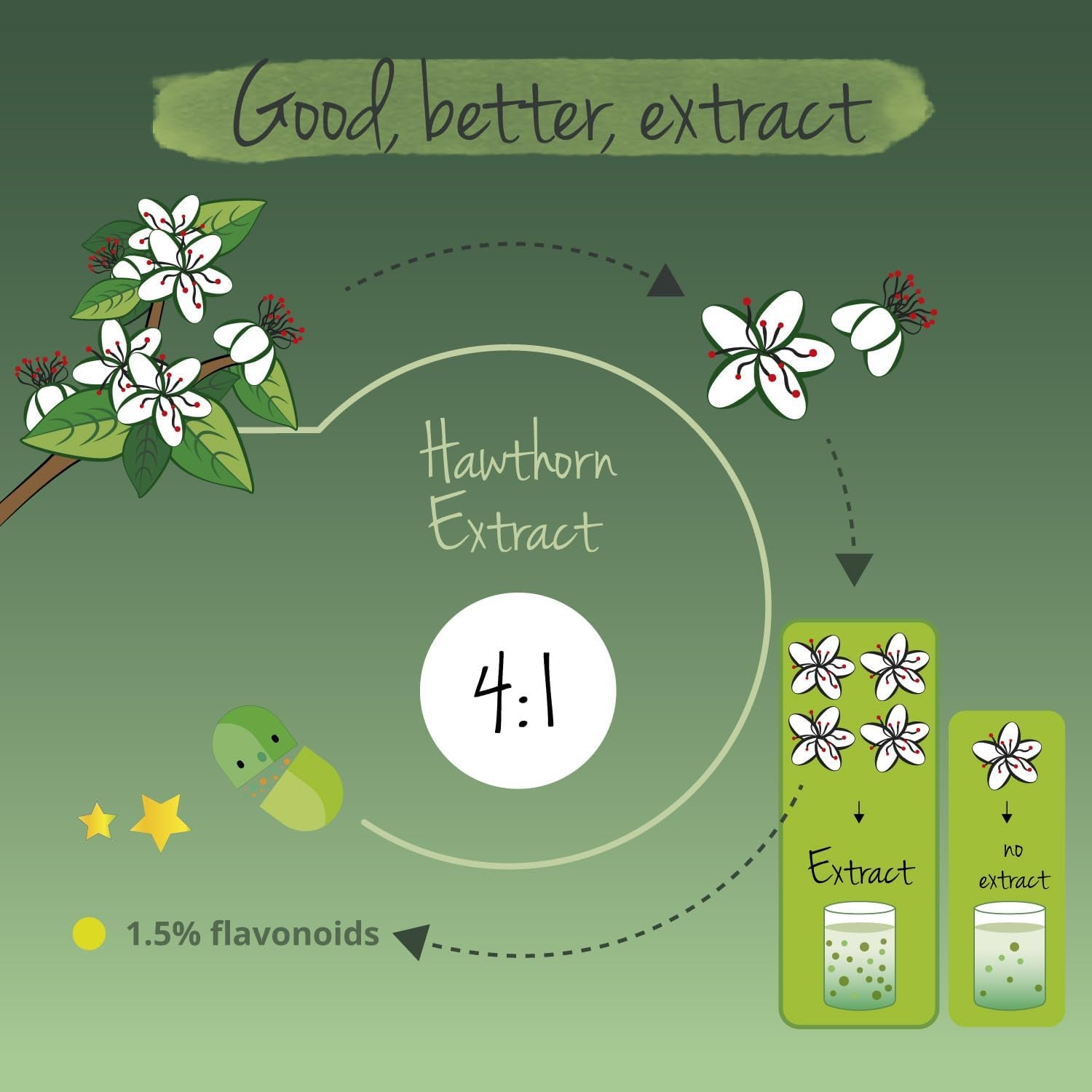 Vegavero Organic Hawthorn Berry Capsules | 2800 Mg (4:1 Extract) | NO Additives | Lab-Tested | Natural Antioxidants Supplement | Vegan