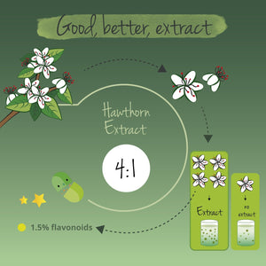 Vegavero Organic Hawthorn Berry Capsules | 2800 Mg (4:1 Extract) | NO Additives | Lab-Tested | Natural Antioxidants Supplement | Vegan