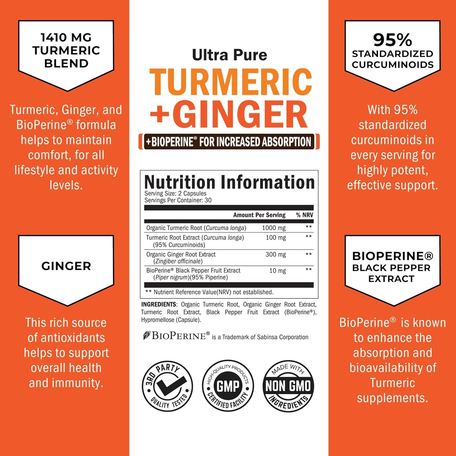 Turmeric Curcumin and Ginger - 95% Standardized Curcuminoids with Bioperine Black Pepper Extract for Ultra High Absorption - Natural Joint Support Supplement - Gluten-Free - 60 Capsules