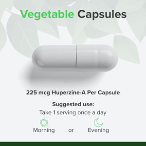 Huperzine a 225Mcg, 90 Caps – Memory & Cognitive Support – Pure Ingredients, GMO & Gluten Free – GMP Certified Nootropic Supplement by Raw Powders