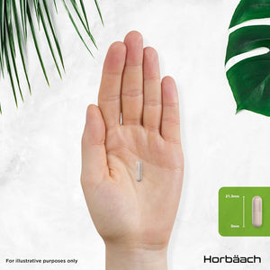 Organic Ashwagandha KSM-66® 1200Mg with 5% Withanolides | Pure Ashwagandha Root Powder | High Strength | 180 Vegan Capsules (Not Tablets) | Supplement for Men & Women | by Horbaach