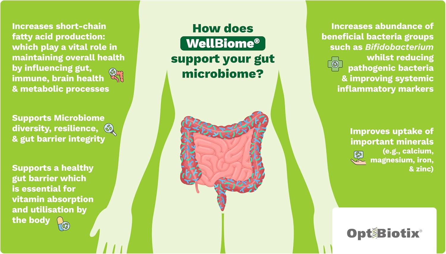 Prebiotic Fibre Complex for Gut Health by Wellbiome – Probiotic Support, Digestive Wellness, Immune System Support – Magnesium for Anxiety, Mood & Energy – 30 Servings
