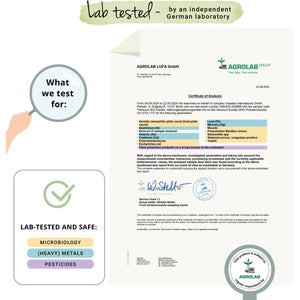 Vegavero Organic Lions Mane 10,000 Mg | NO Additives | 20:1 High Strength Mushroom Extract (Not Powder) | 50% Polysaccharides | Focus Supplement | Vegan