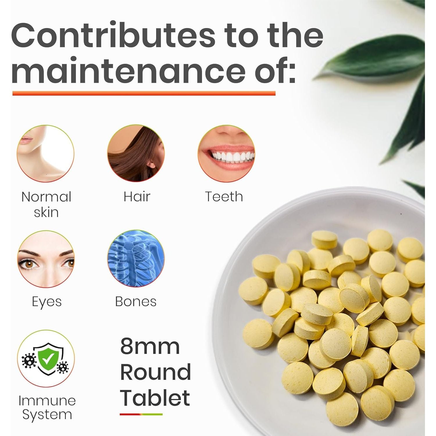 Red Label Health Multivitamin 360 Tablets (1 Year Supply) for Men & Women High Strength Multi Vitamins Supplement for Immune Support & Wellbeing, One a Day Multivitamins