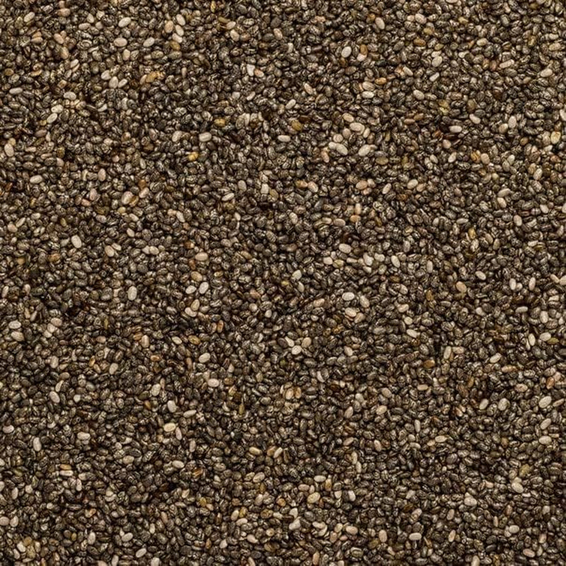 Wholefood Earth Organic Chia Seeds – 500G | Raw | GMO Free | Vegan | Source of Fibre | Certified Organic