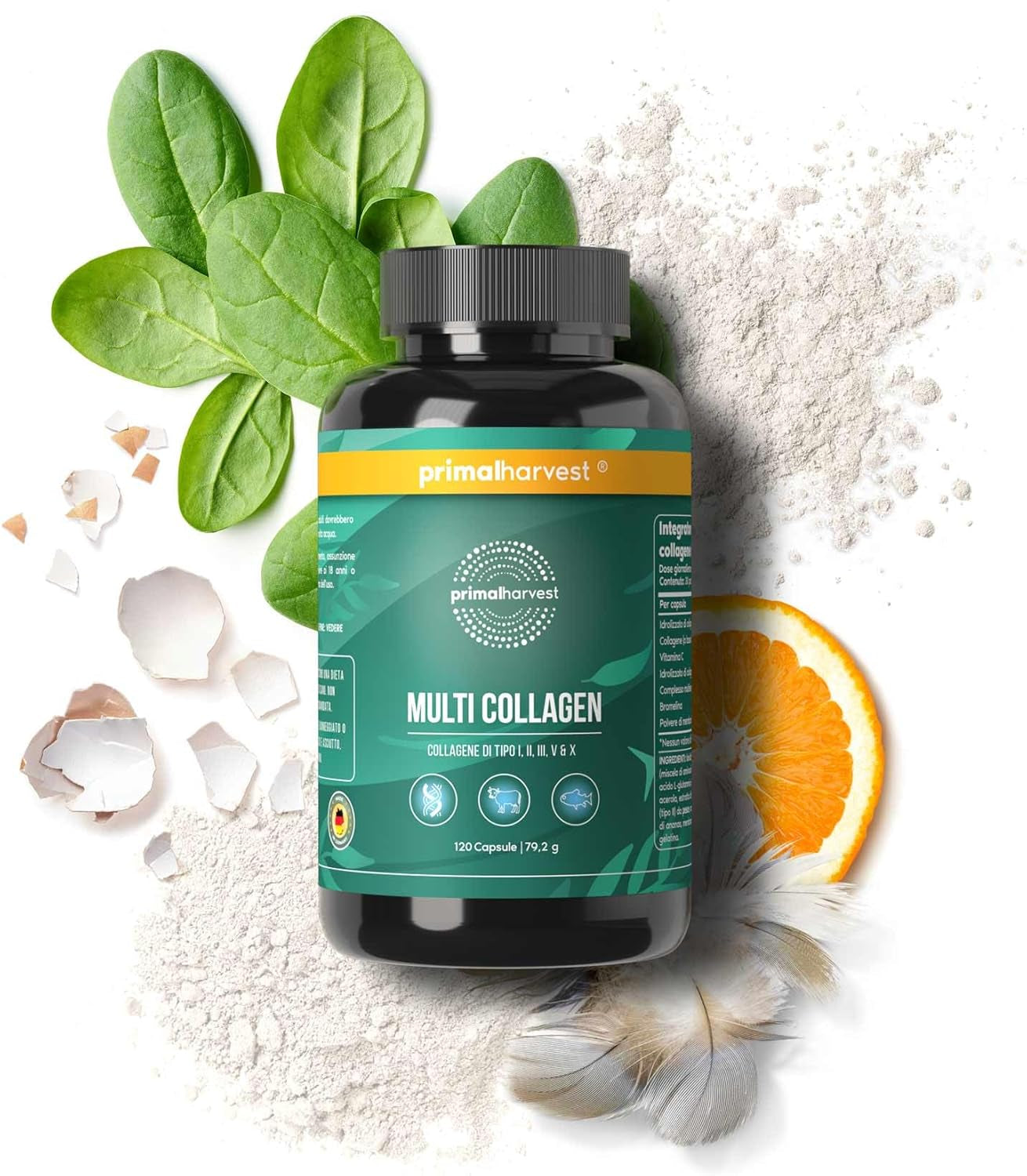 Primal Harvest Multi Collagen Supplement Types I, II, III, V & X Collagen Pills for Men & Women Dairy, Soy & Gluten Free 1 Pack 120 Capsules
