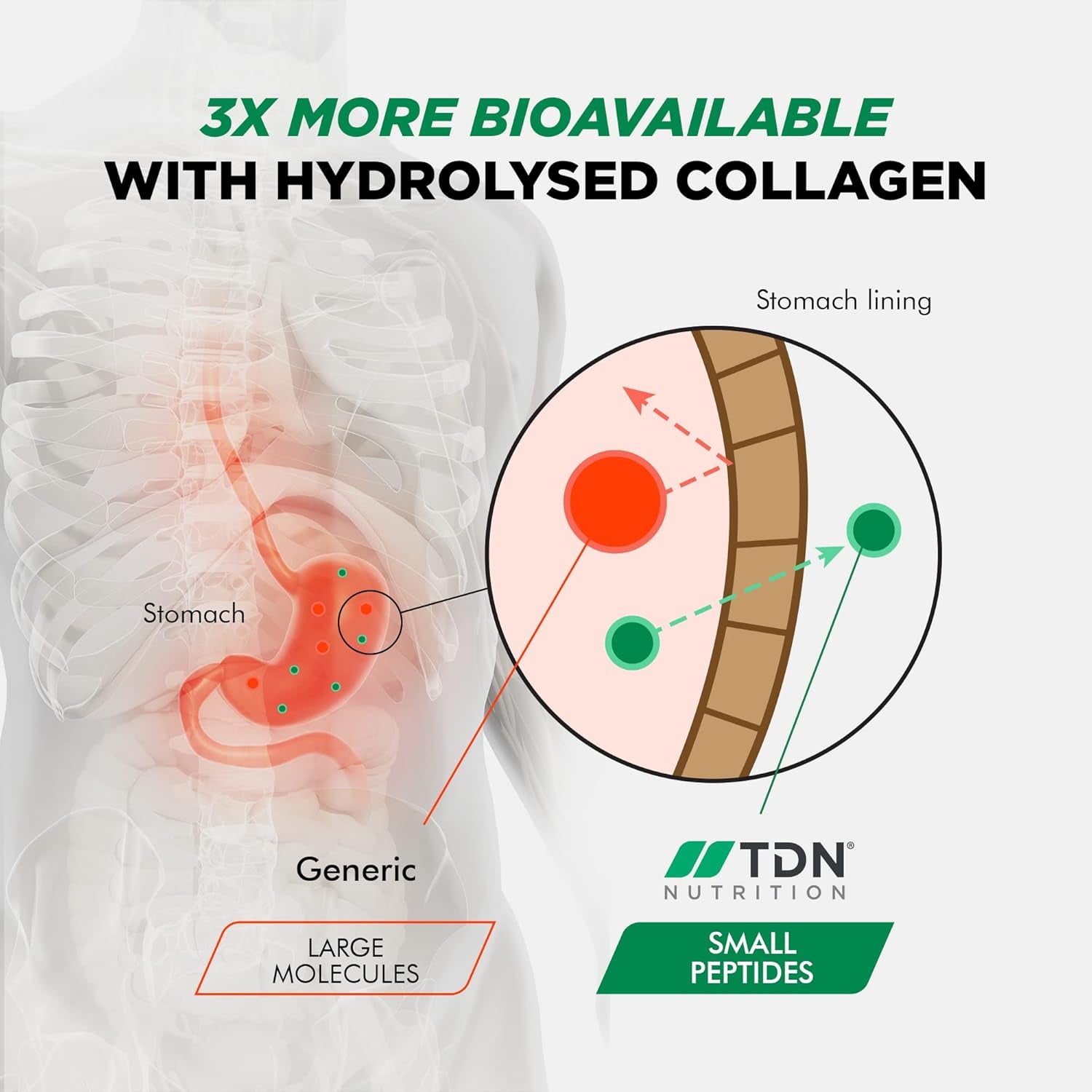 Marine Collagen Capsules 1400Mg with Hyaluronic Acid, High Strength Collagen Supplement, Hydrolyzed Collagen Supplement for Women and Men (Not Collagen Powder or Tablets)